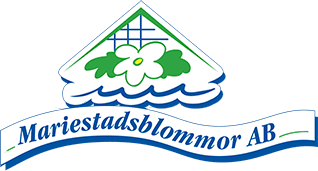 Mariestadsblommor AB - En av Västsveriges största producenter av prydnadsväxter